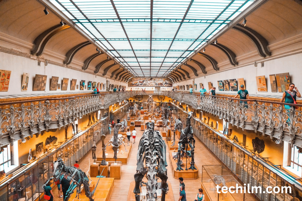 the museum of jurassic technology