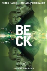 Beck 30 – The Hospital Murders